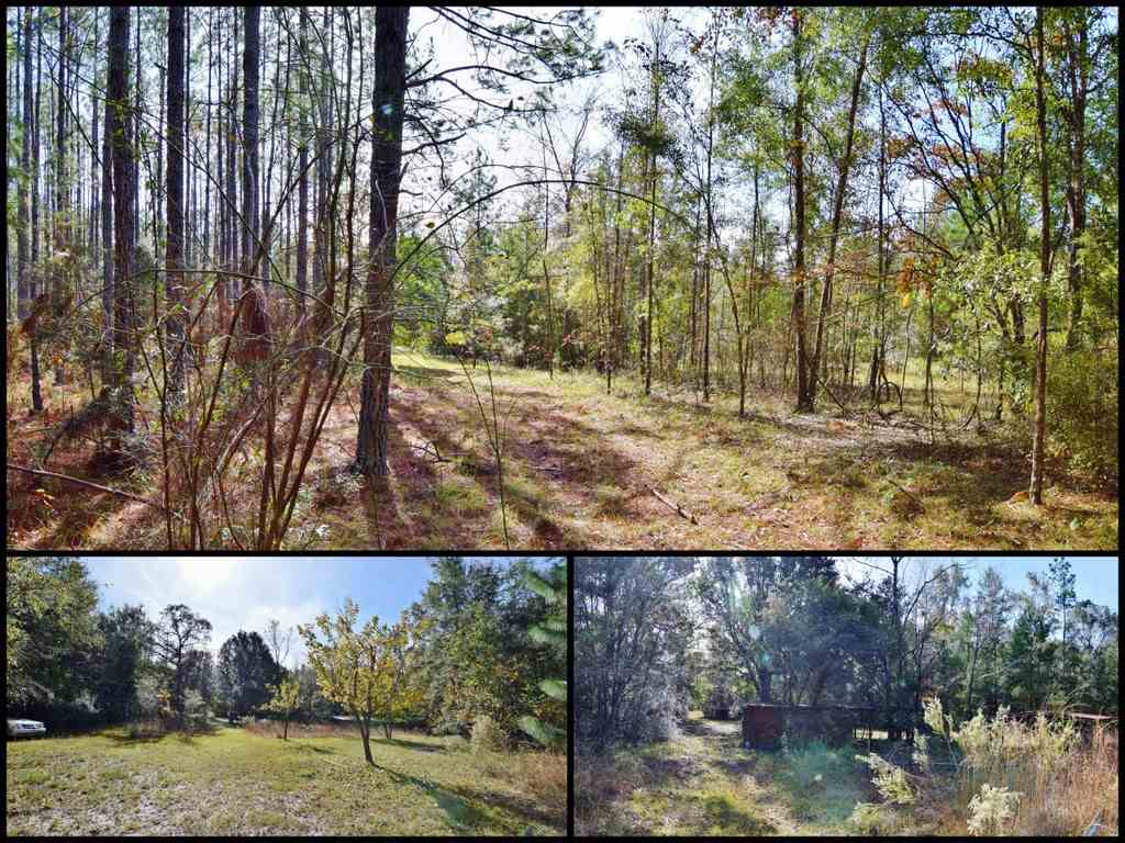984 Oak Ridge Road East Tallahassee, FL 32305 - Photo 6 of 36