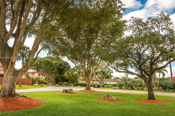 a view of a park with large trees