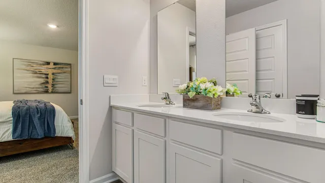 a bathroom with a sink a mirror and a potted plant
