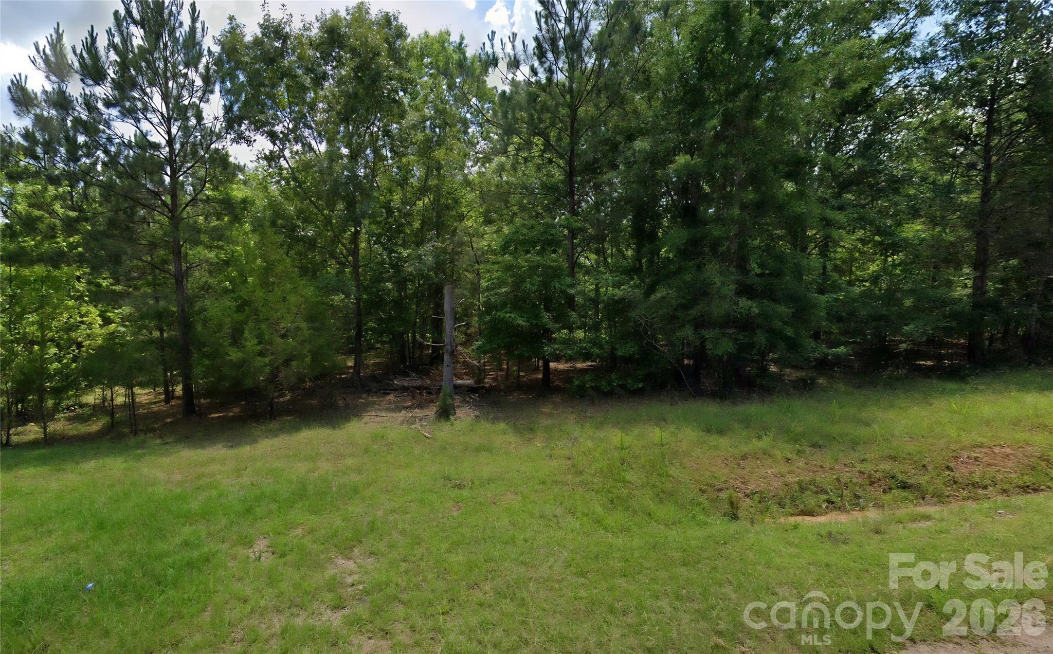 0 Rockbridge Road Ridgeway, SC 29130 - Photo 8 of 11 Gallery Image 8