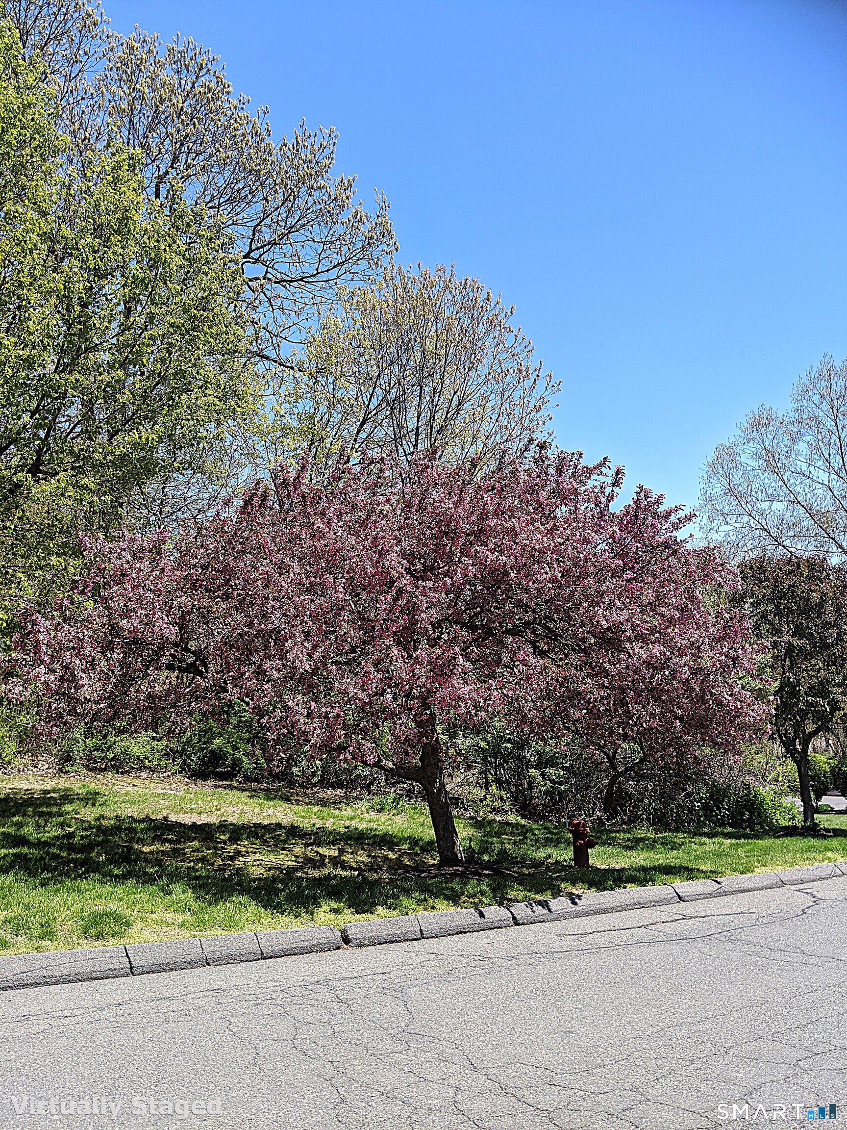 925 Oronoke Road, Unit 38A Waterbury, CT 06708 - Photo 28 of 29 a green field with lots of trees in the background