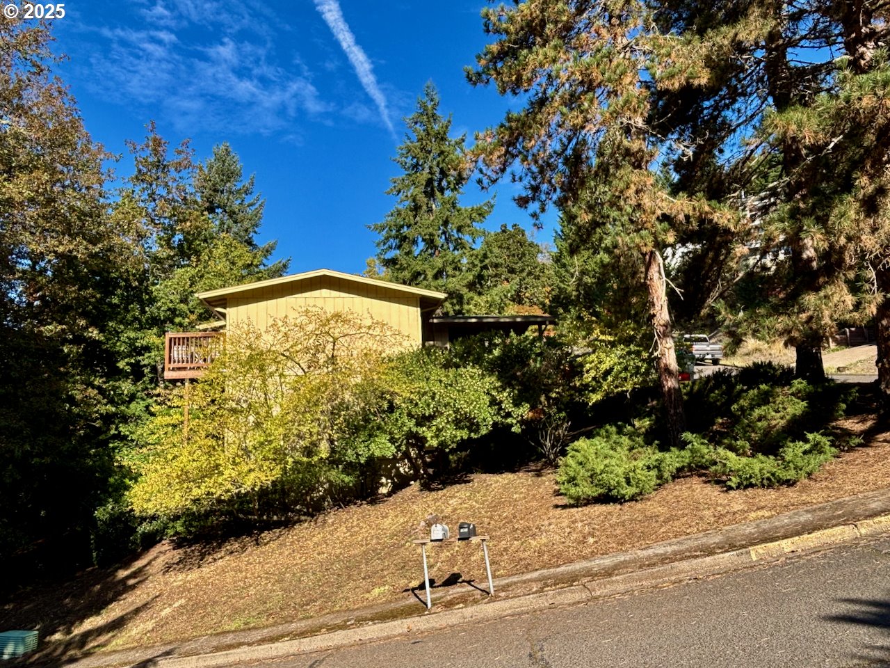 3790 Onyx Street Eugene, OR 97405 - Photo 12 of 13 a view of a garden with pathway