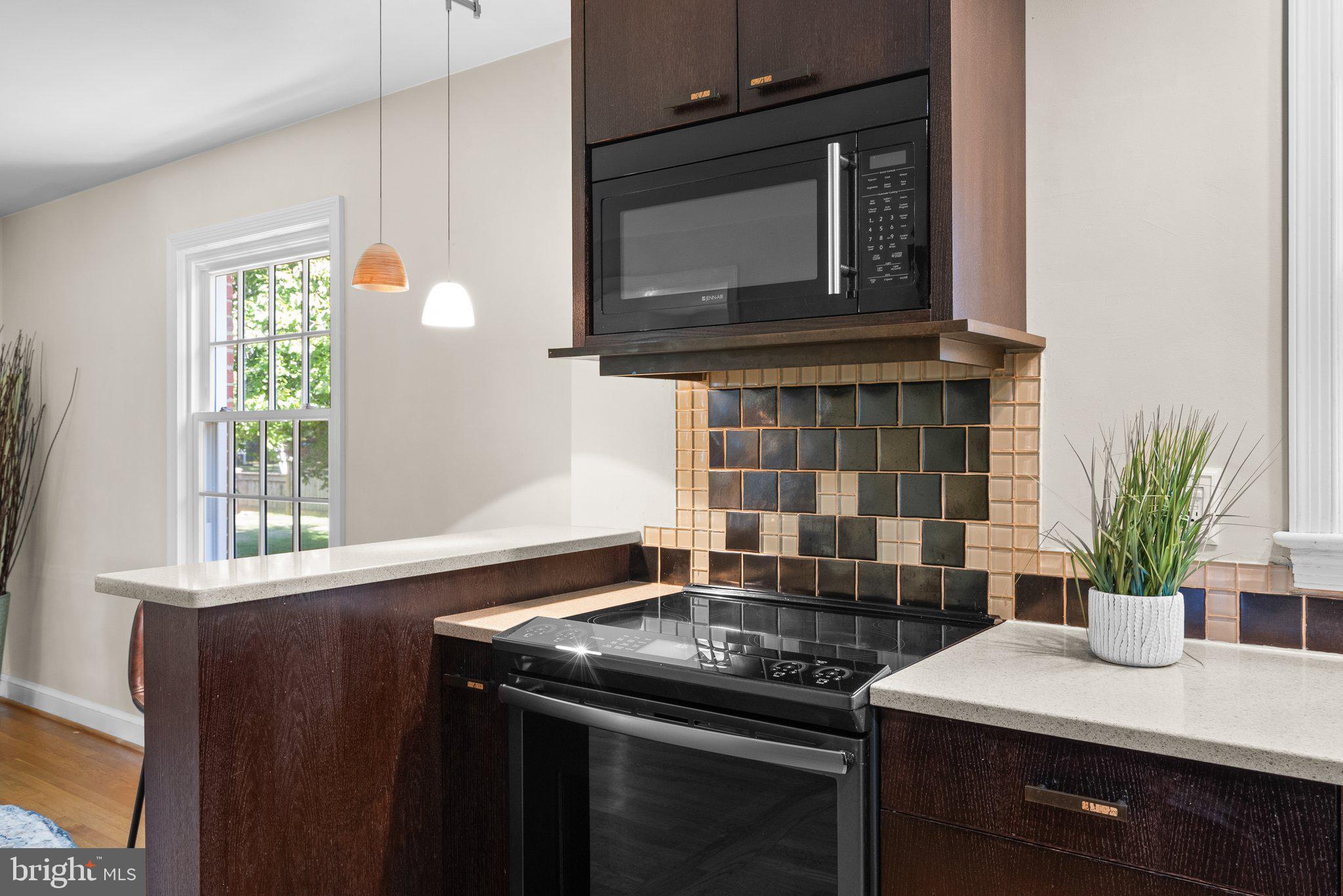 218 St Lawrence Drive Silver Spring, MD 20901 - Photo 15 of 63 Kitchen with custom wood cabinets
