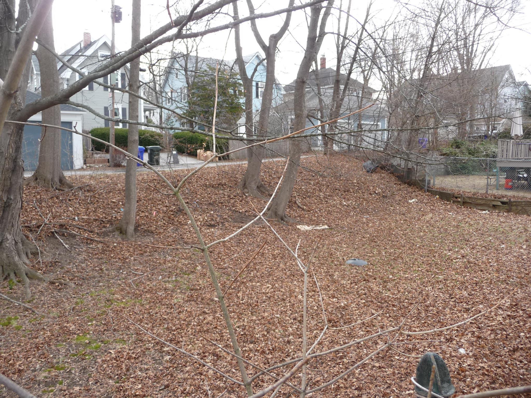 857 Union Street Manchester, NH 03104 - Photo 6 of 30