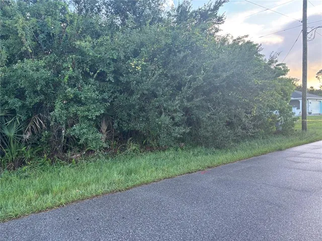 a view of a field with trees