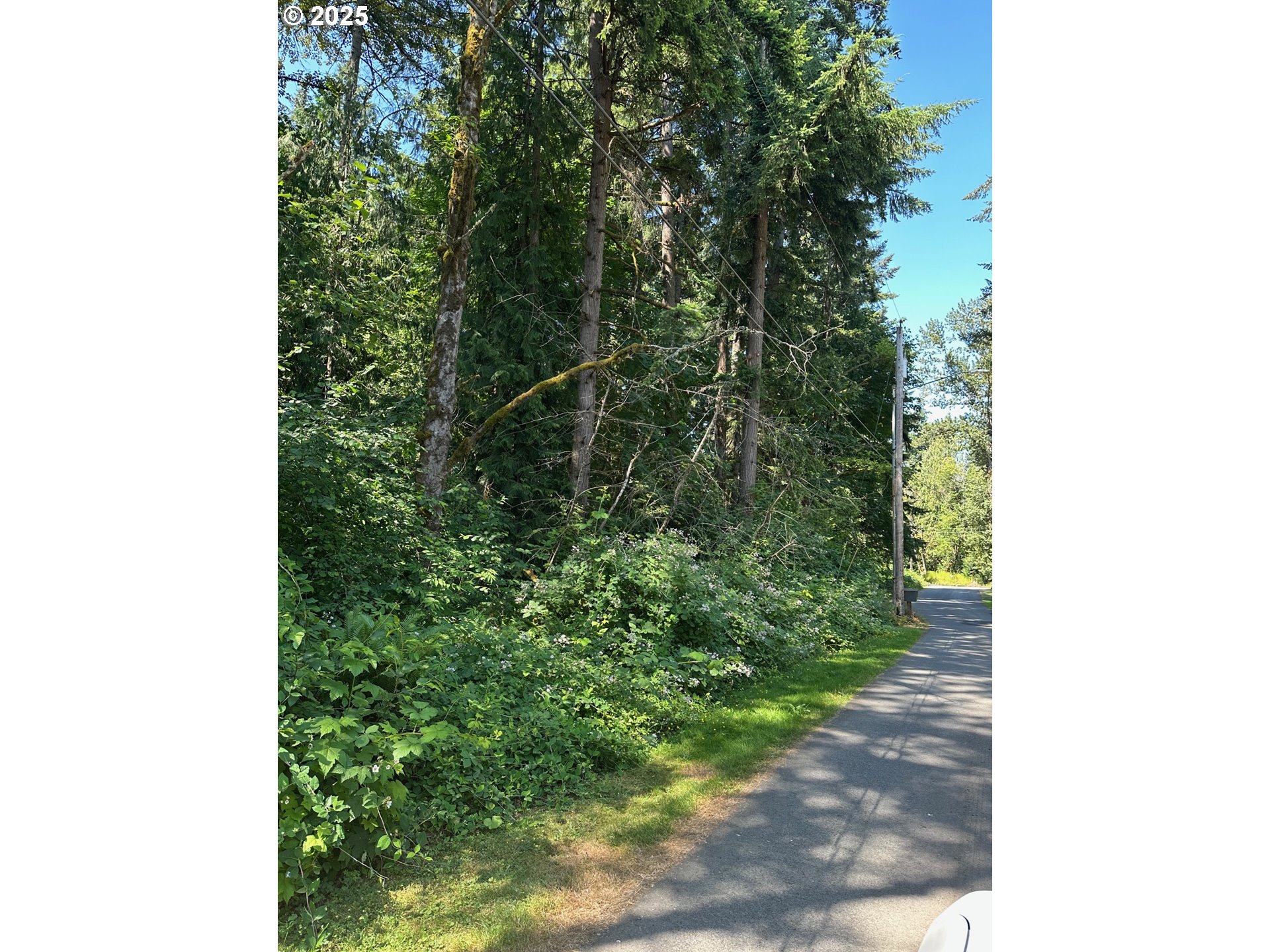 0 Southeast Crescent Road Boring, OR 97009 - Photo 2 of 3