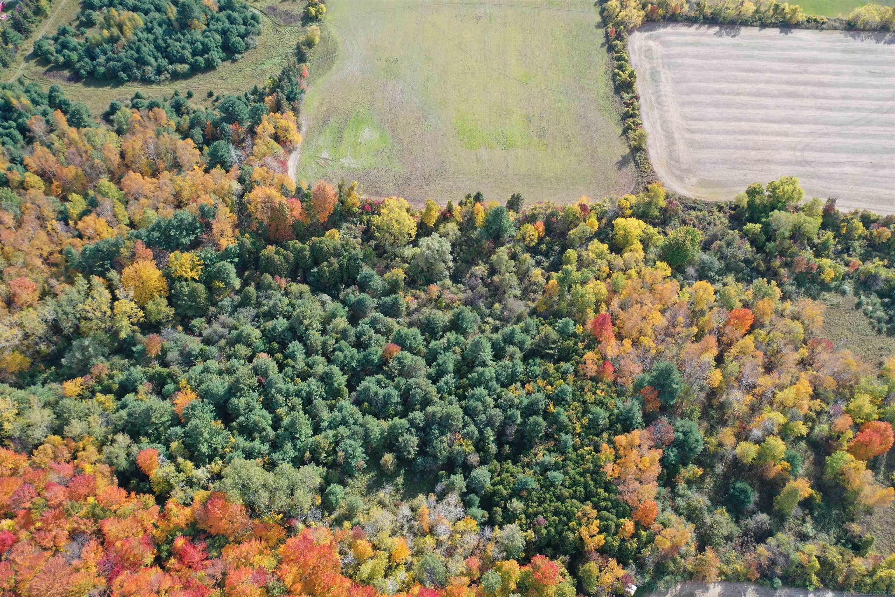 0 French Line Road Carsonville, MI 48419 - Photo 11 of 25