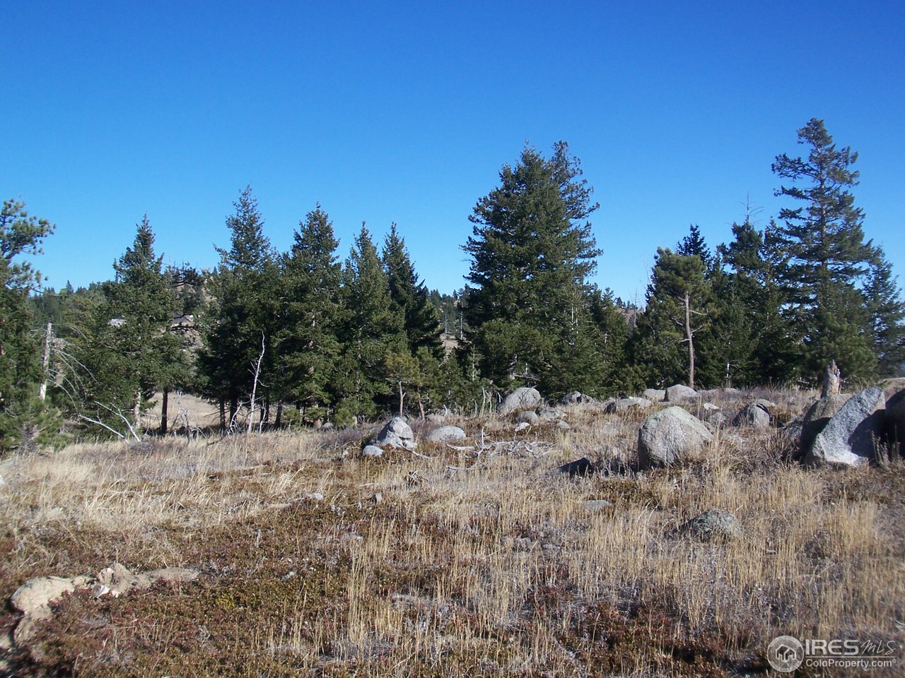 555 Labelle Road Boulder, CO 80302 - Photo 6 of 6 a view of a forest with trees in the background