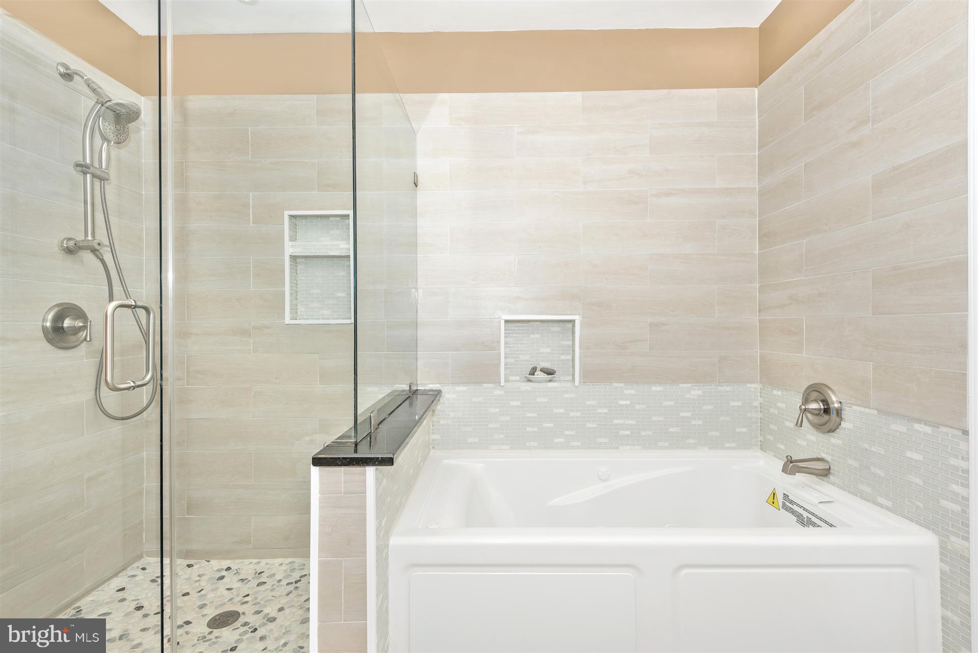 6650 Wind Ridge Road Mount Airy, MD 21771 - Photo 22 of 30 Large shower and New Soaking Tub