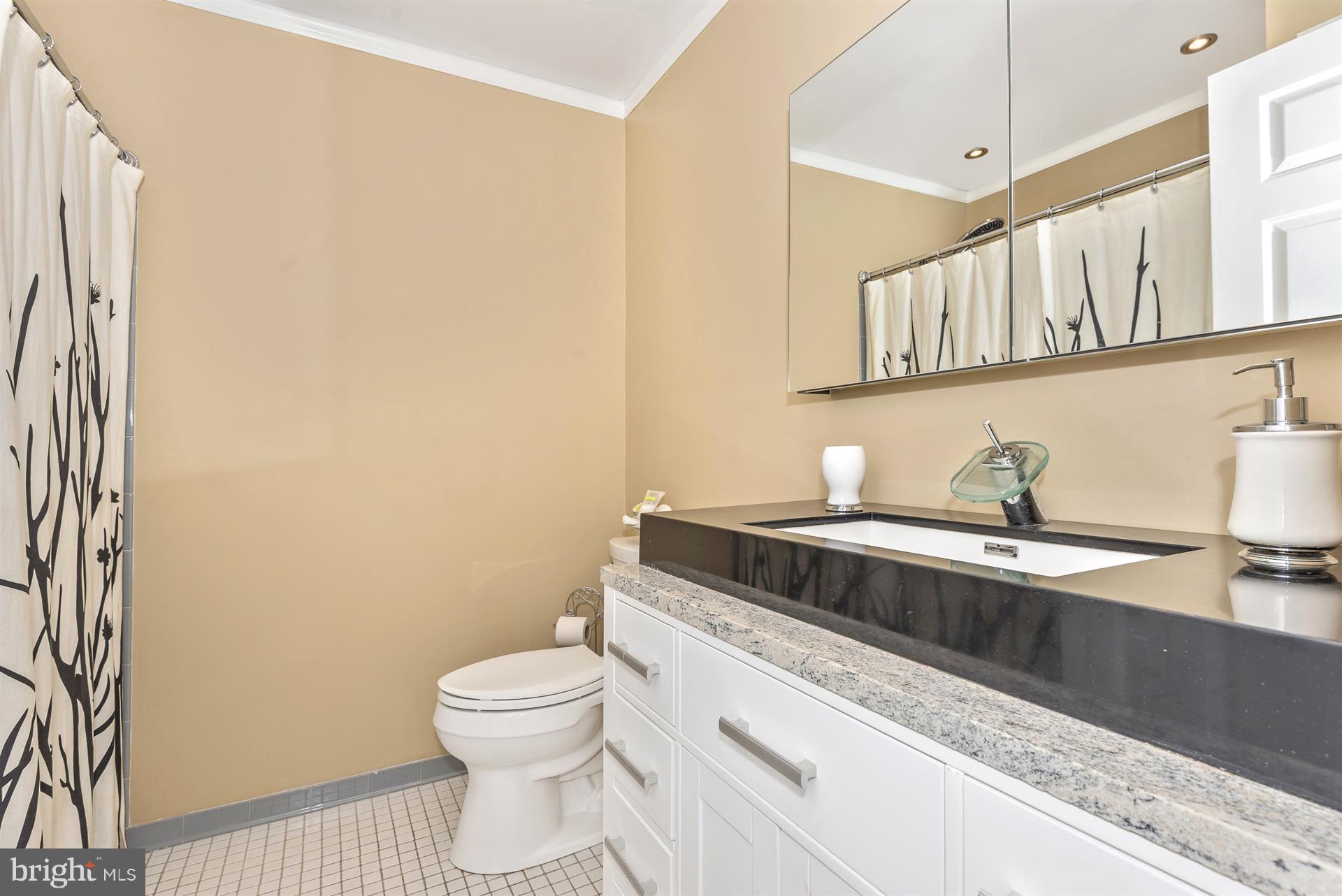 6650 Wind Ridge Road Mount Airy, MD 21771 - Photo 25 of 30 Upstairs Hall Bathroom