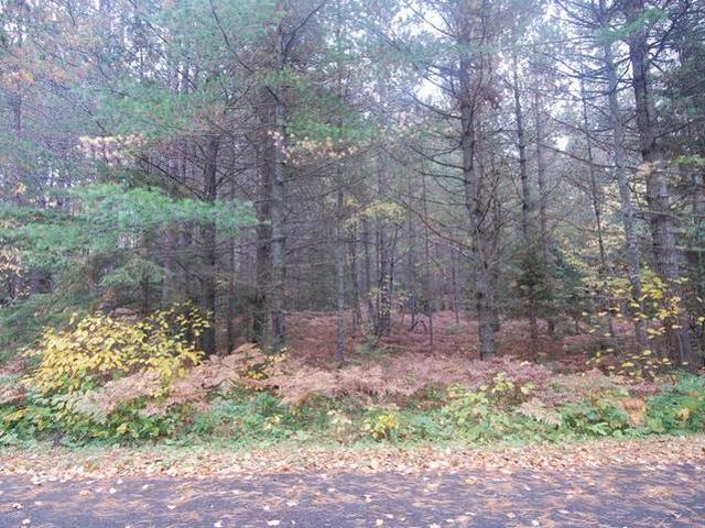 Lot 4 Sparks Road Land O'Lakes, WI 54540 - Photo 1 of 1 Gallery Image 1