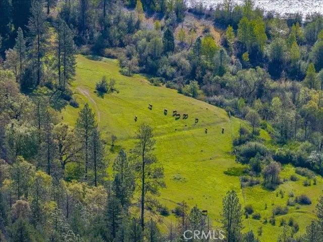 a view of a house with a big yard and large trees
