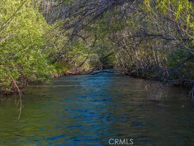 a view of a garden with a fountain