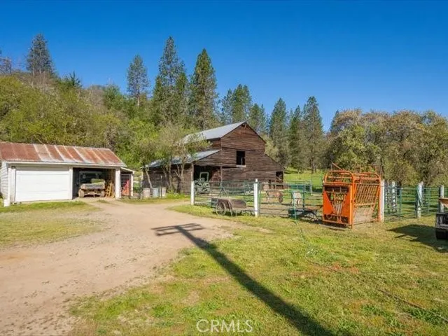 a view of a park with large trees