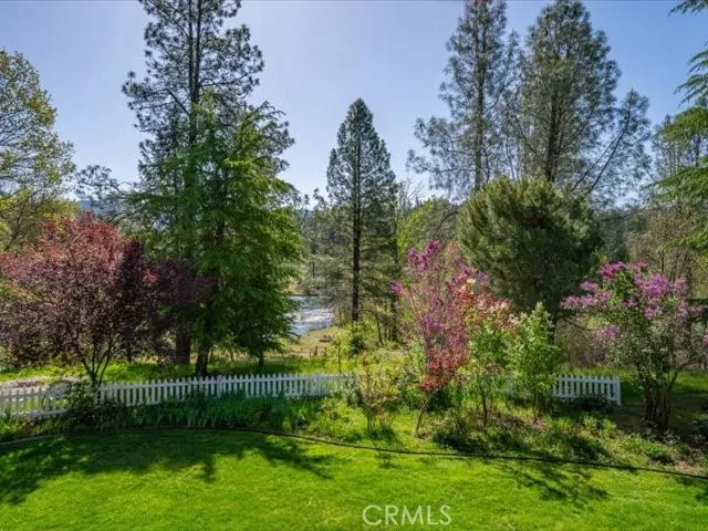 a view of a yard with large trees