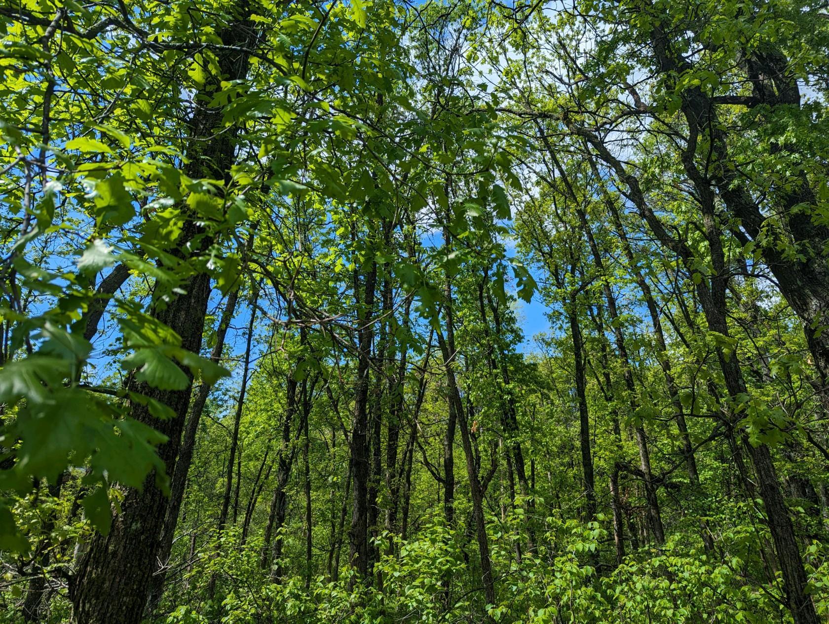 L44-b1 Navaho Trail Breezy Point, MN 56472 - Photo 2 of 10