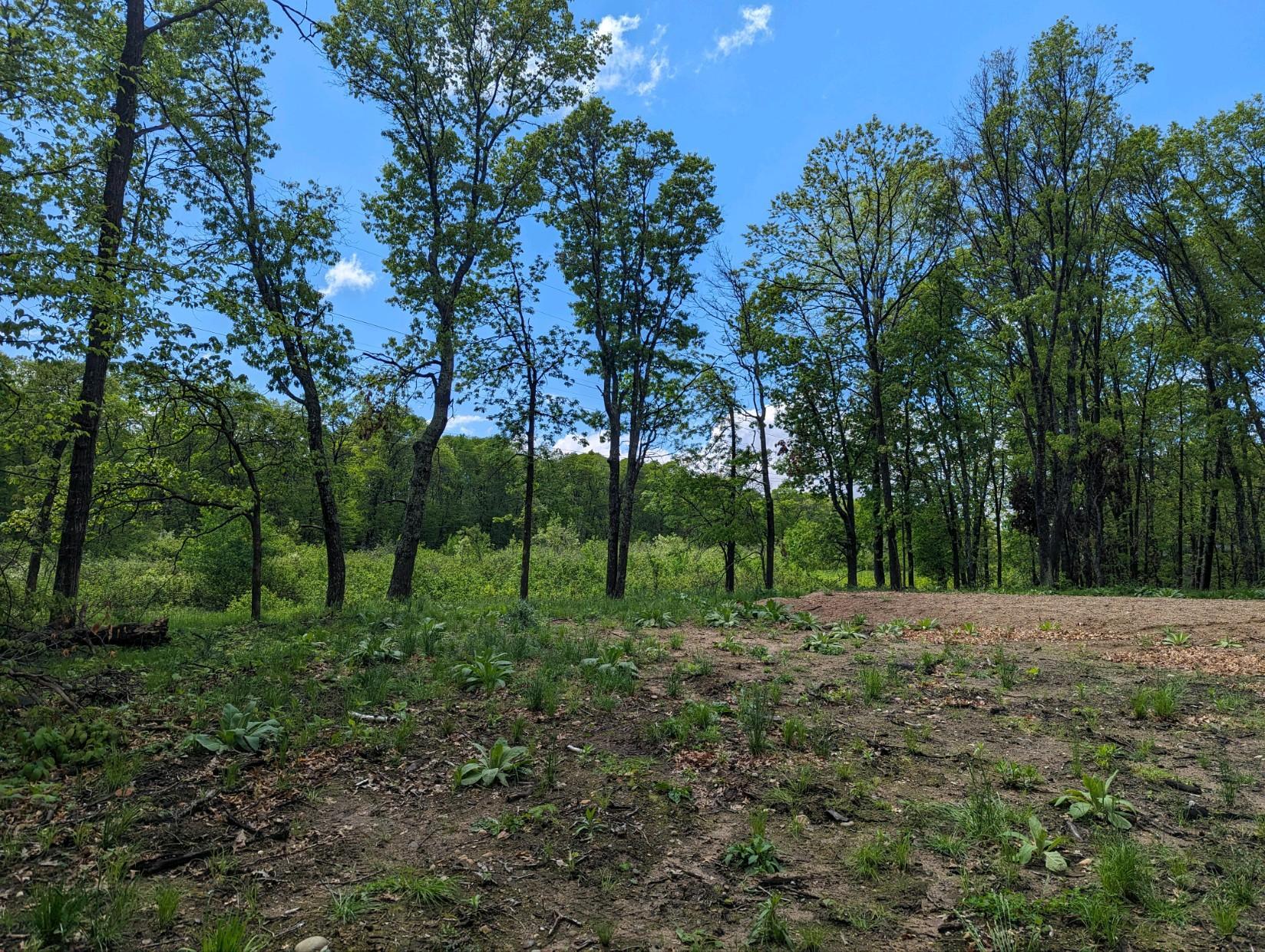 L44-b1 Navaho Trail Breezy Point, MN 56472 - Photo 3 of 10