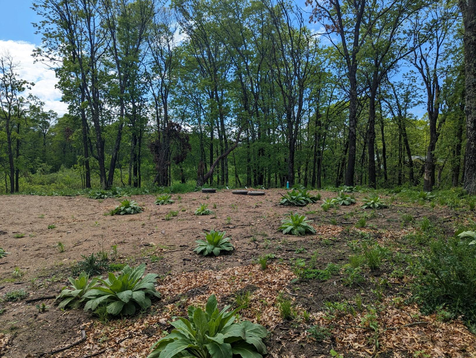 L44-b1 Navaho Trail Breezy Point, MN 56472 - Photo 6 of 10