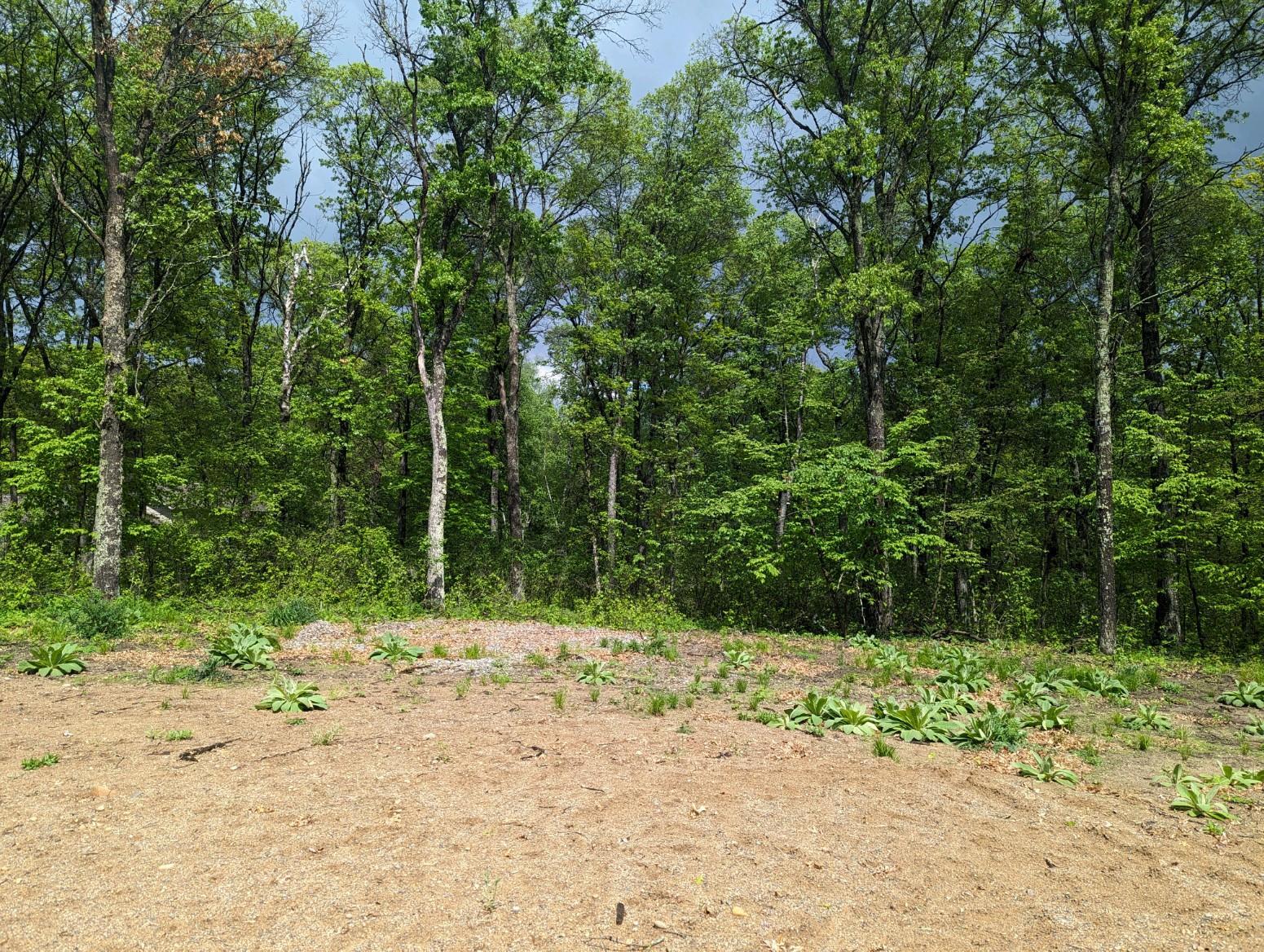 L44-b1 Navaho Trail Breezy Point, MN 56472 - Photo 8 of 10