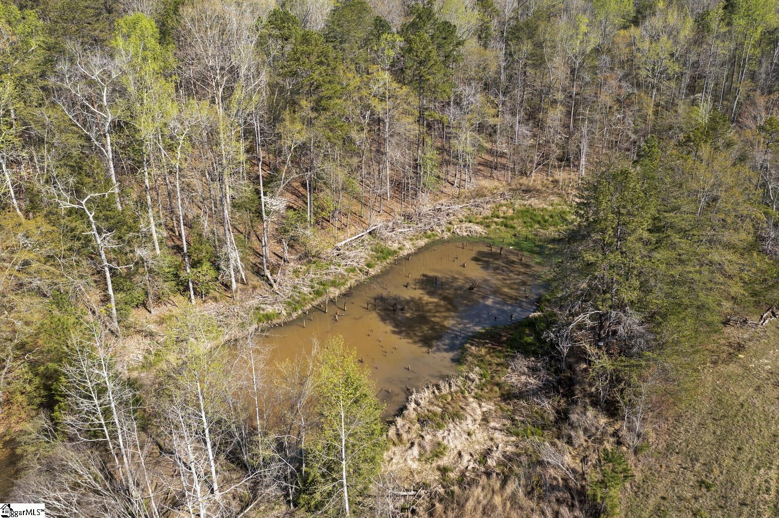 691 Pennington Road Fountain Inn, SC 29644 - Photo 28 of 31