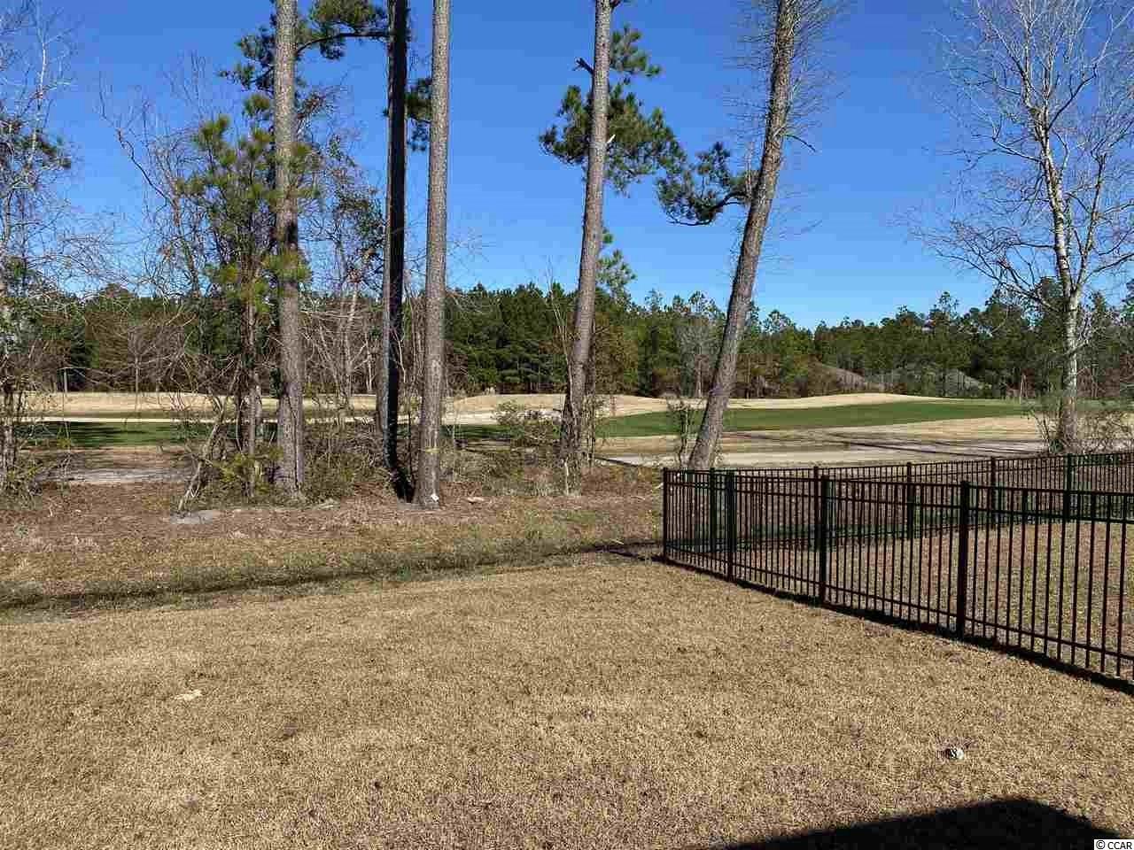 2075 Borgata Loop Longs, SC 29568 - Photo 4 of 40 Gallery Image 4