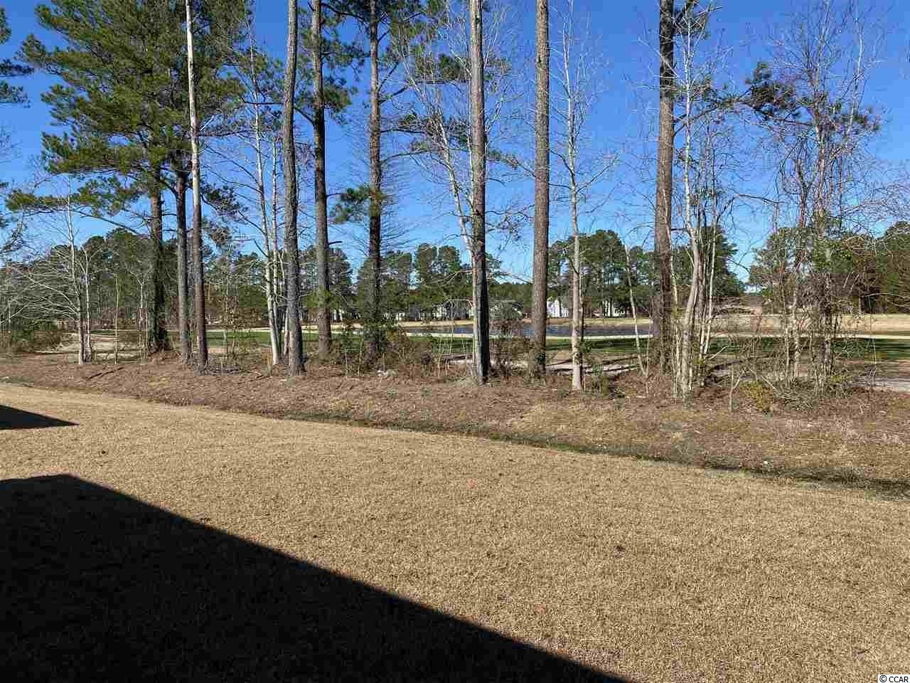 2075 Borgata Loop Longs, SC 29568 - Photo 5 of 40 Gallery Image 5