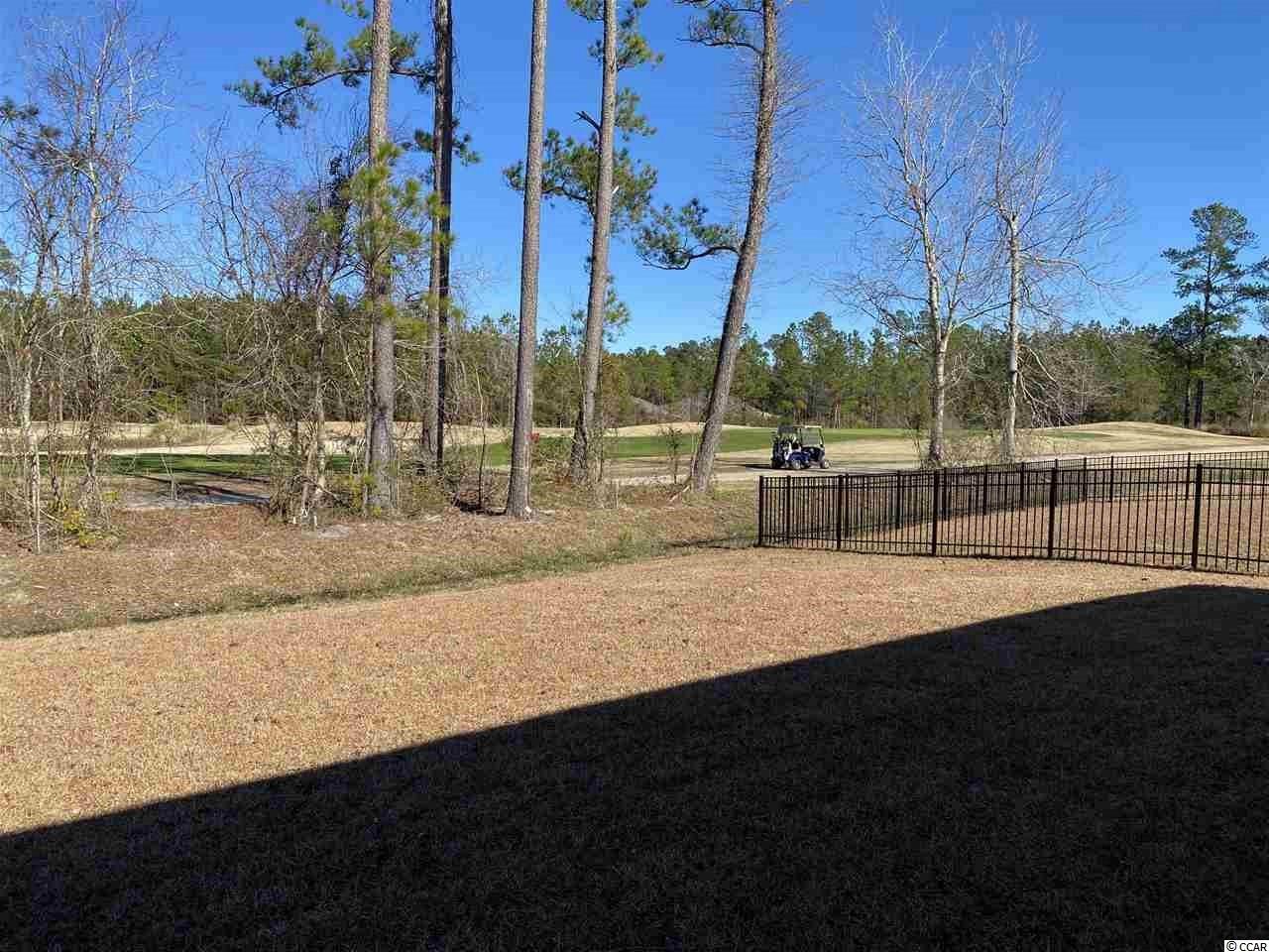 2075 Borgata Loop Longs, SC 29568 - Photo 8 of 40 Gallery Image 8