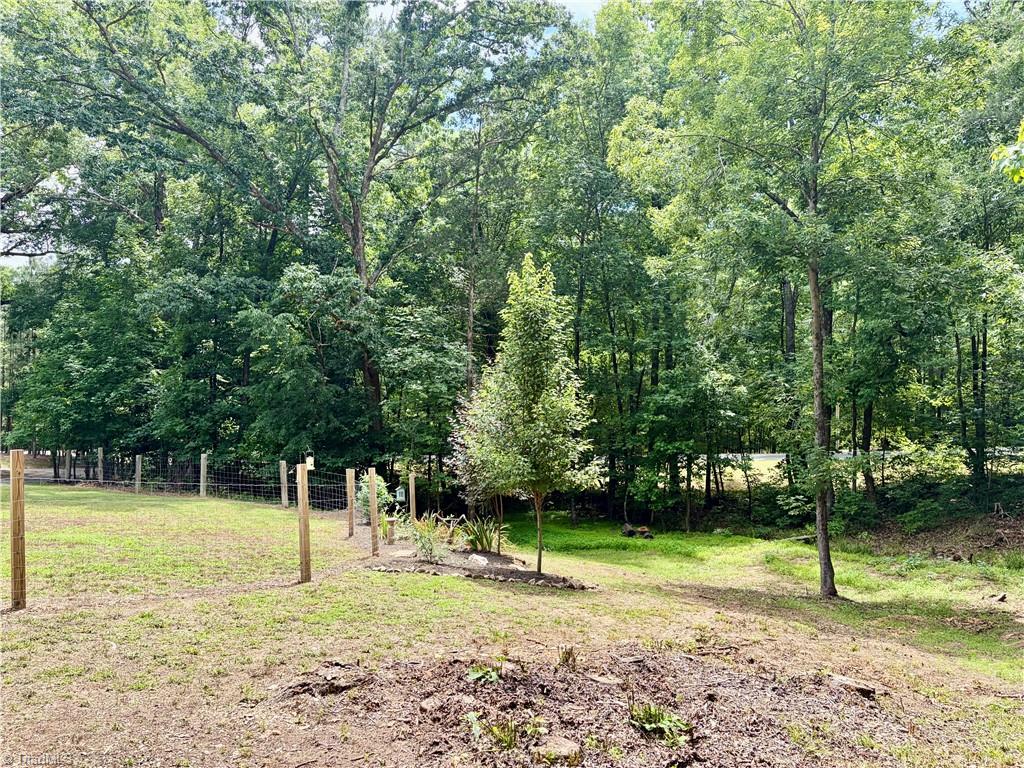 2595 Stokes Road Denton, NC 27239 - Photo 20 of 20