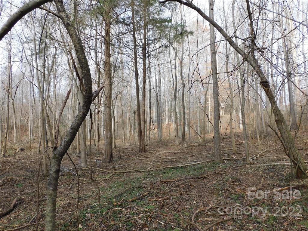 0 Ferguson Farm Road York, SC 29745 - Photo 1 of 18 a view of backyard