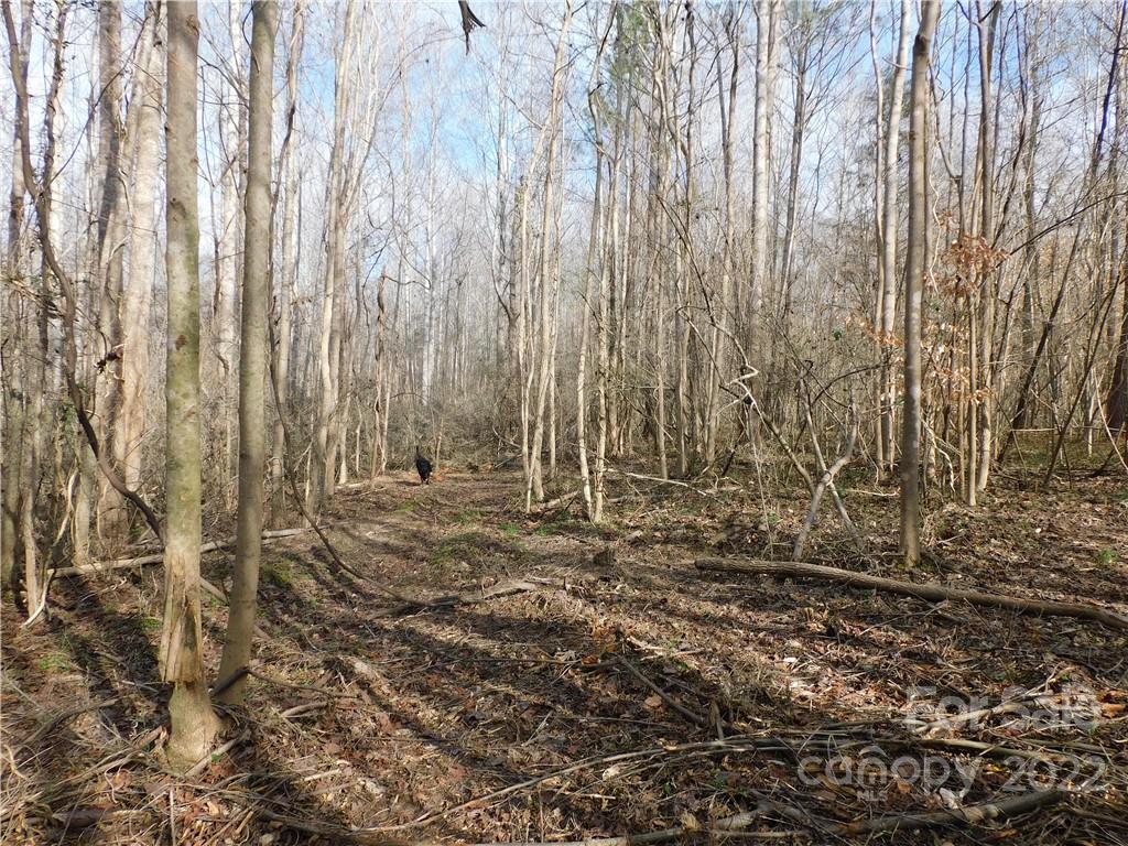 0 Ferguson Farm Road York, SC 29745 - Photo 11 of 18 a view of room with trees