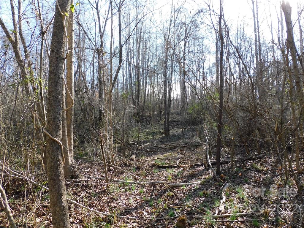 0 Ferguson Farm Road York, SC 29745 - Photo 15 of 18 a view of a forest with trees