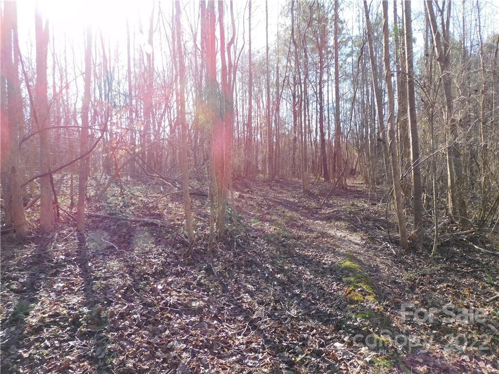 0 Ferguson Farm Road York, SC 29745 - Photo 17 of 18 a view of wooden floor with some trees