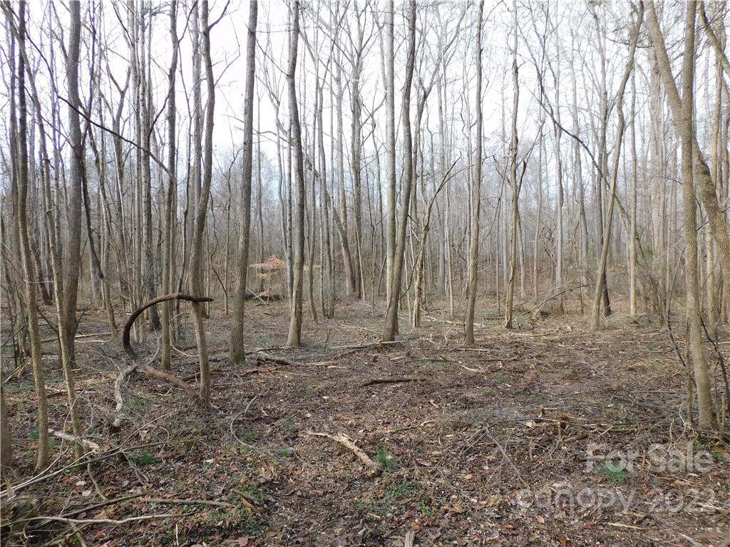 0 Ferguson Farm Road York, SC 29745 - Photo 2 of 18 a view of a backyard