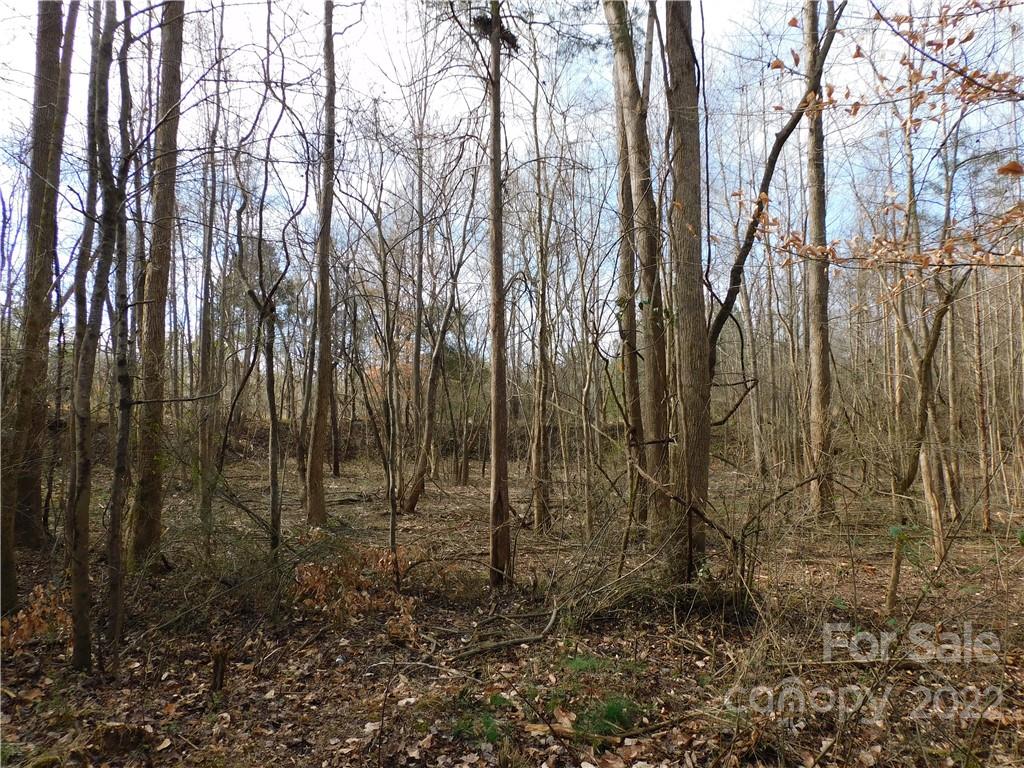 0 Ferguson Farm Road York, SC 29745 - Photo 5 of 18 a view of forest