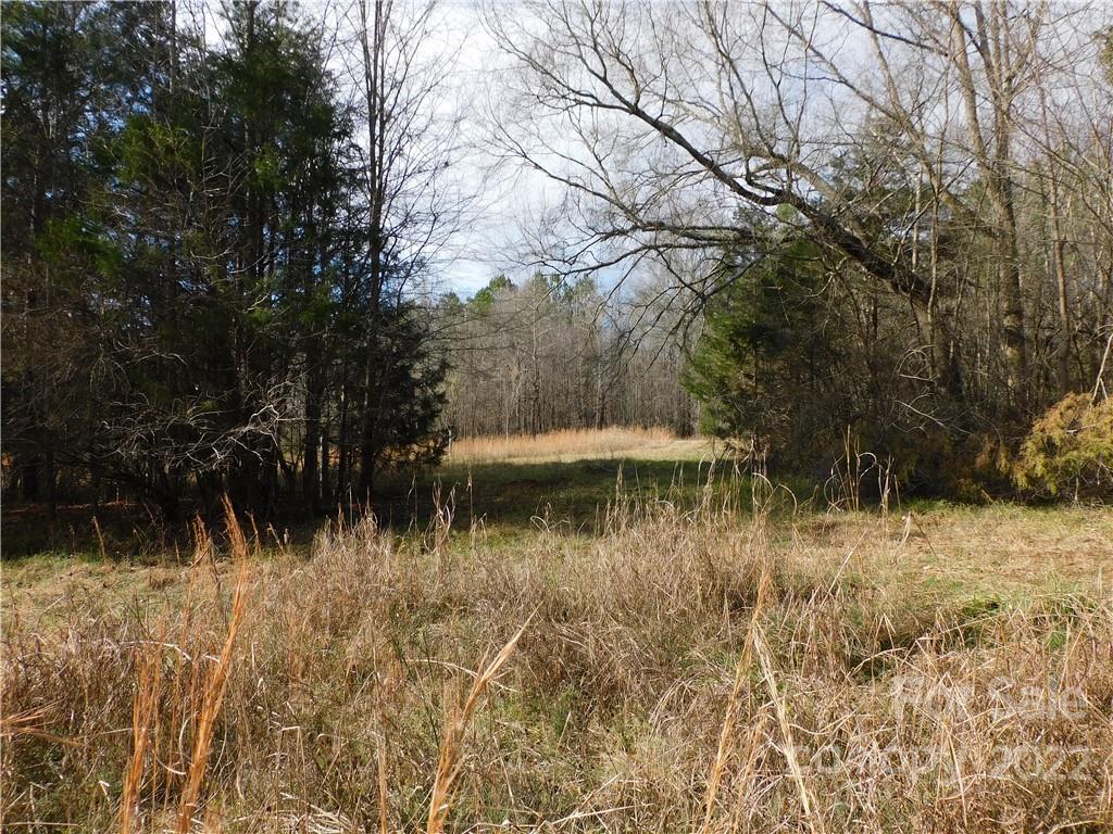 0 Ferguson Farm Road York, SC 29745 - Photo 7 of 18 a view of swimming pool with a yard