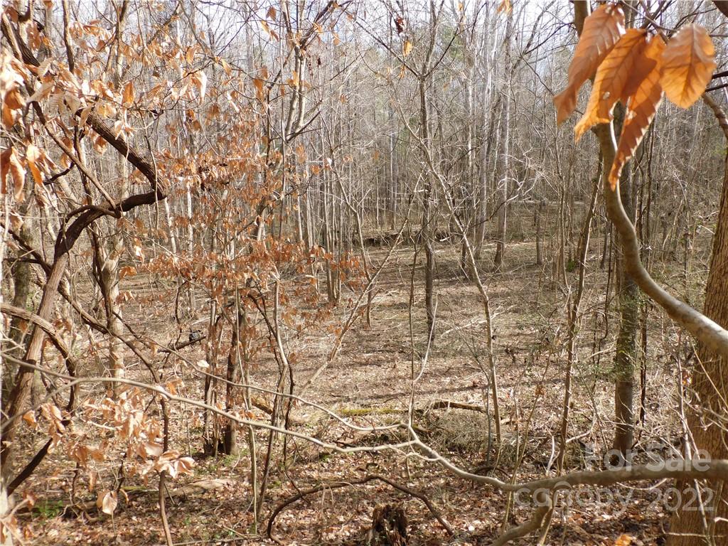 0 Ferguson Farm Road York, SC 29745 - Photo 8 of 18 a view of a yard