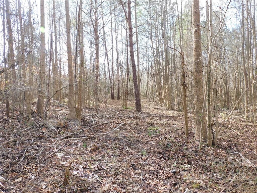0 Ferguson Farm Road York, SC 29745 - Photo 10 of 18 a view of room with trees