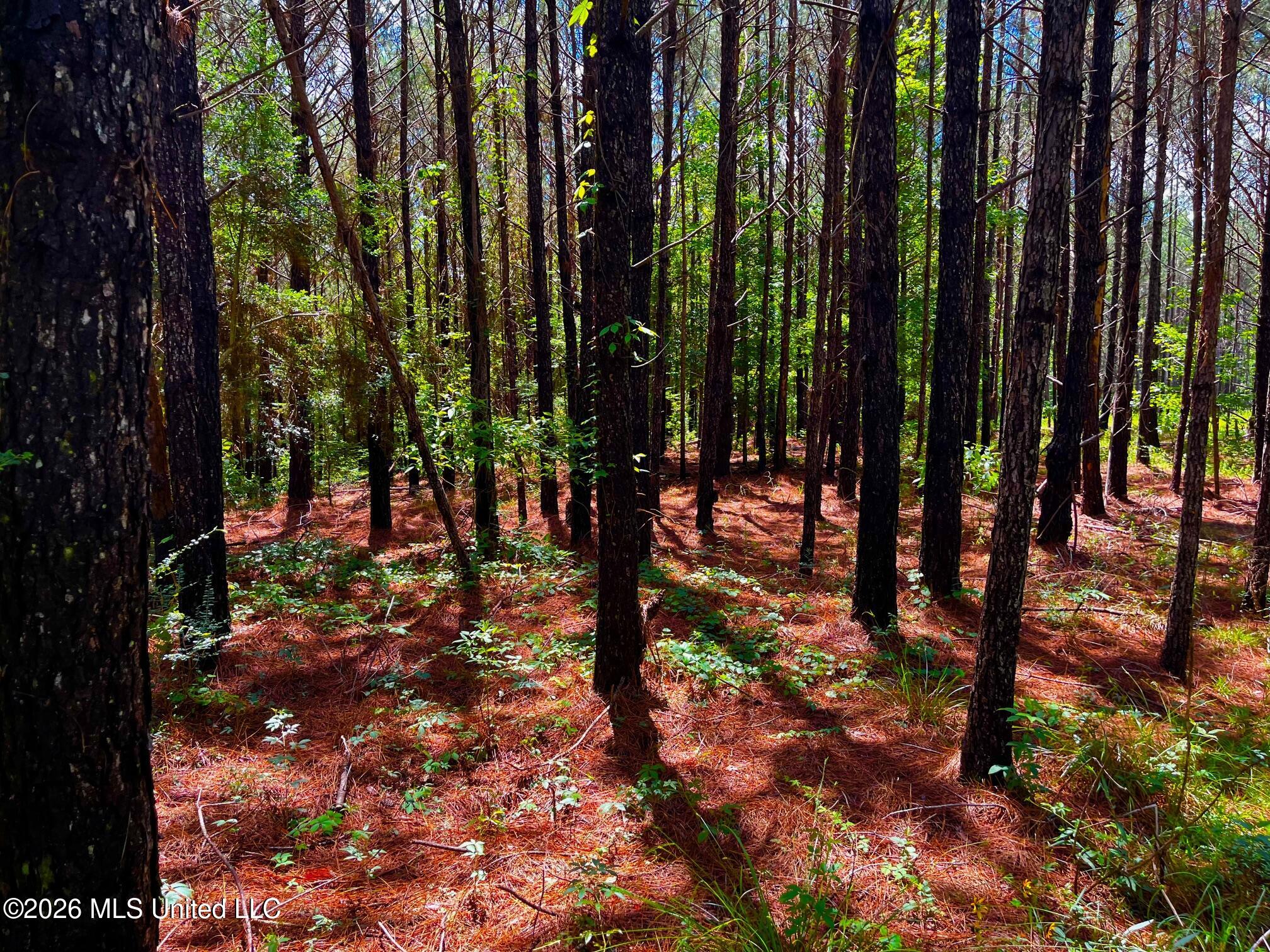 Arthur Drive Brookhaven, MS 39601 - Photo 5 of 20 ar3