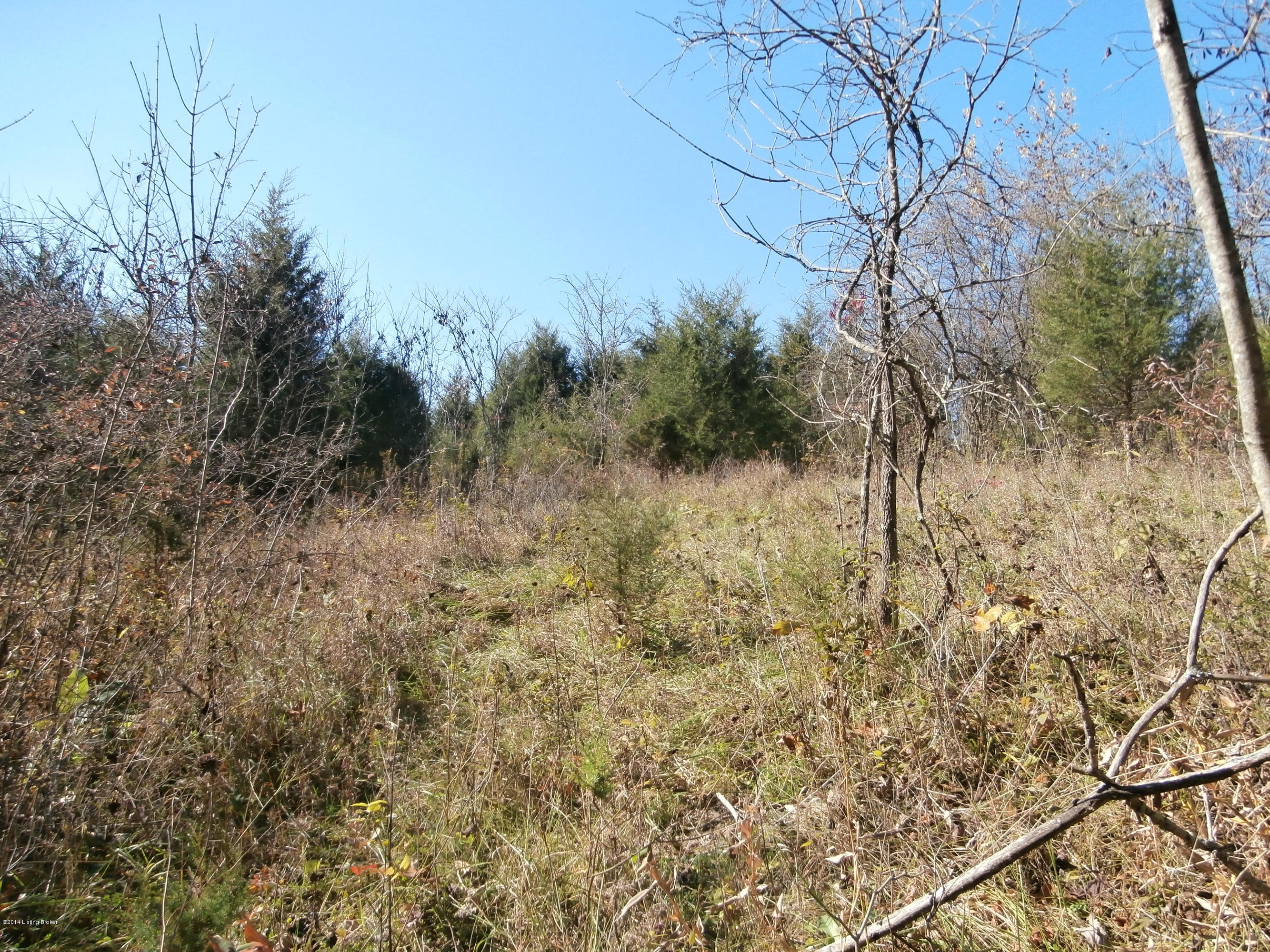 Ridge Land
