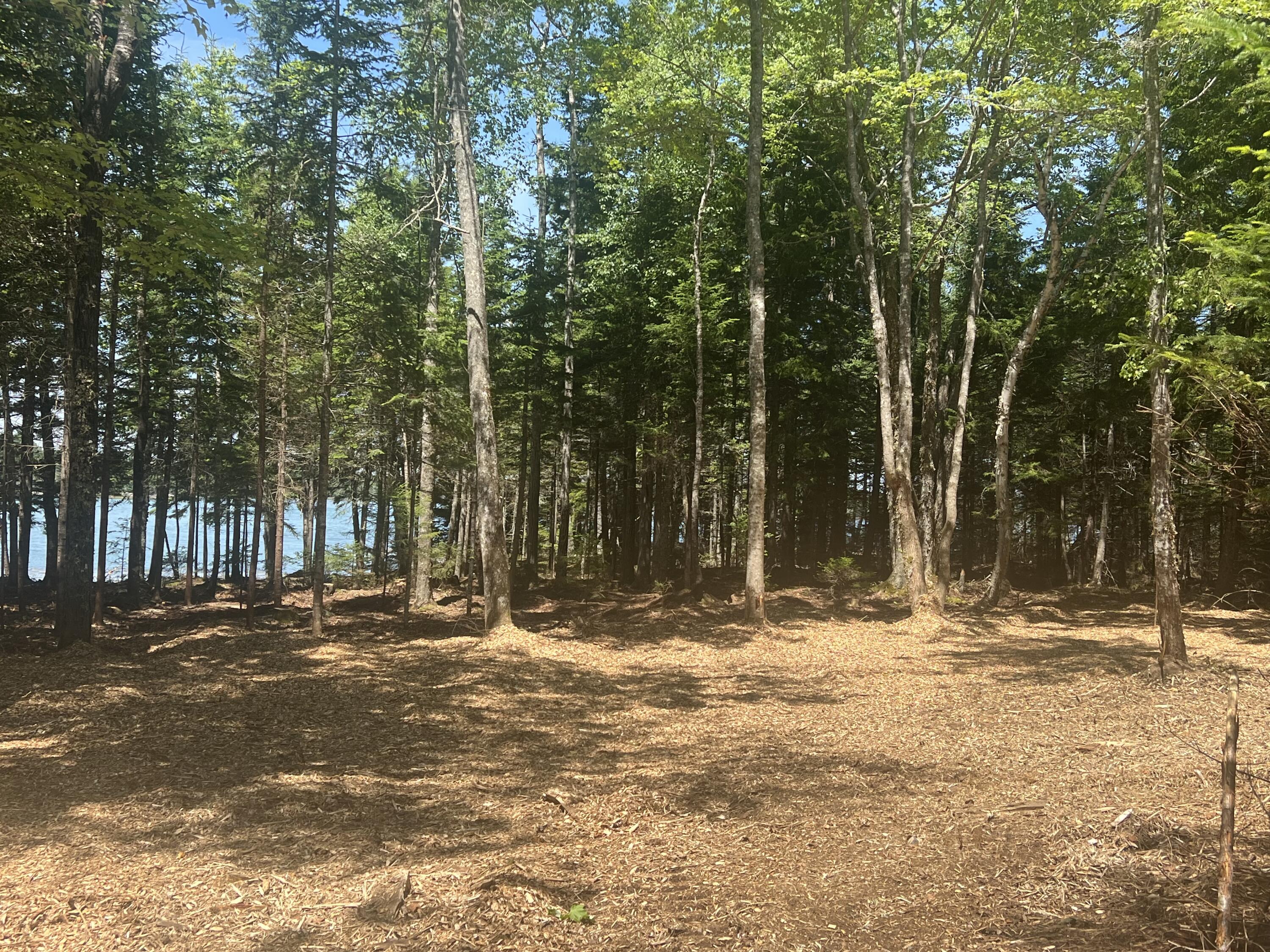 Lot #2 Seal Point Road Lamoine, ME 04605 - Photo 6 of 14 IMG_2531 (2)