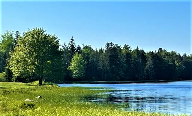 68 Joy Road Gouldsboro, ME 04607 - Photo 10 of 45 Joy51