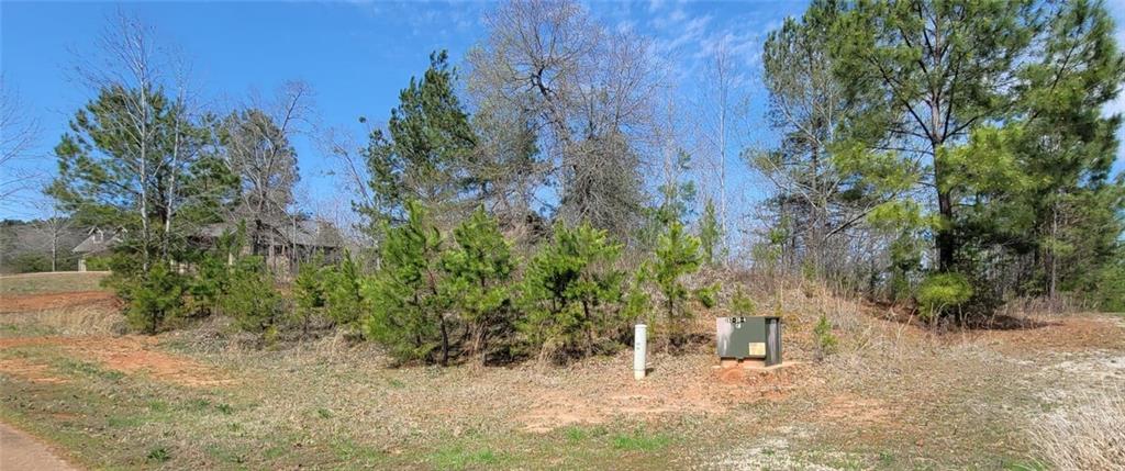 334 Edgewater Trail Toccoa, GA 30577 - Photo 1 of 15 a view of a dry yard with trees