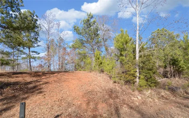 a view of a yard with plants and trees