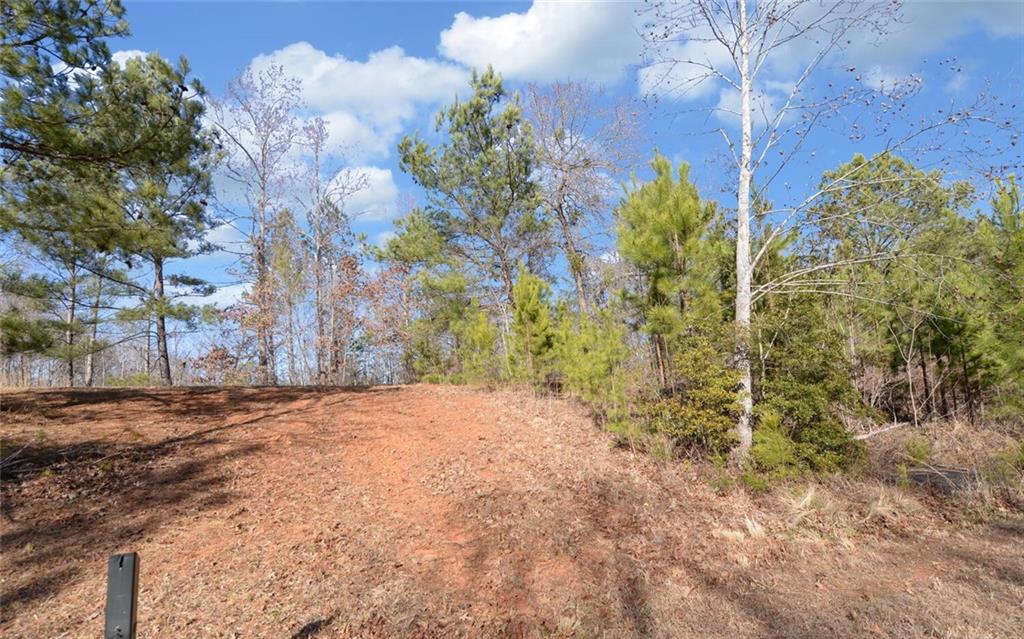 334 Edgewater Trail Toccoa, GA 30577 - Photo 12 of 15 a view of a yard with plants and trees