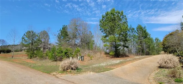 a view of a yard with plants and a trees