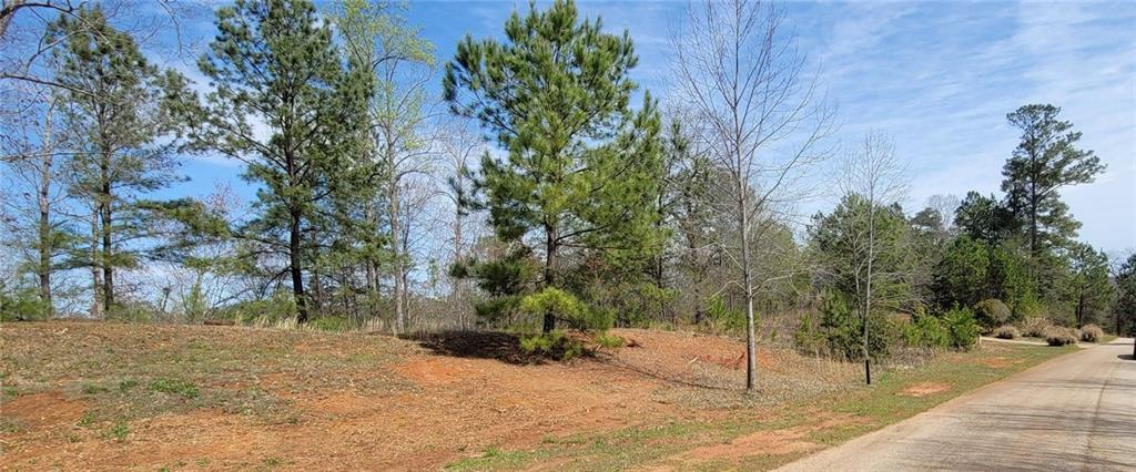 334 Edgewater Trail Toccoa, GA 30577 - Photo 3 of 15 a view of a yard with plants and trees