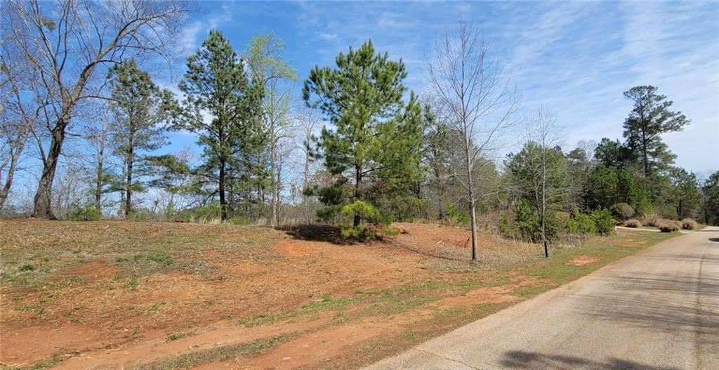 334 Edgewater Trail Toccoa, GA 30577 - Photo 4 of 15 a view of a yard with plants and trees