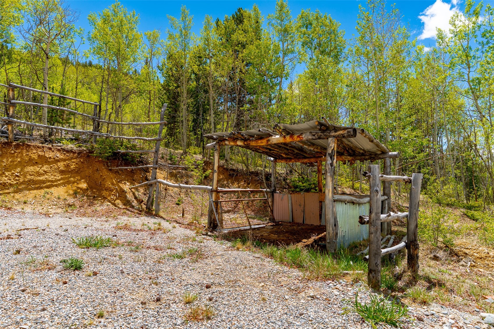 1023 Mexican Ridge Circle Como, CO 80432 - Photo 41 of 50
