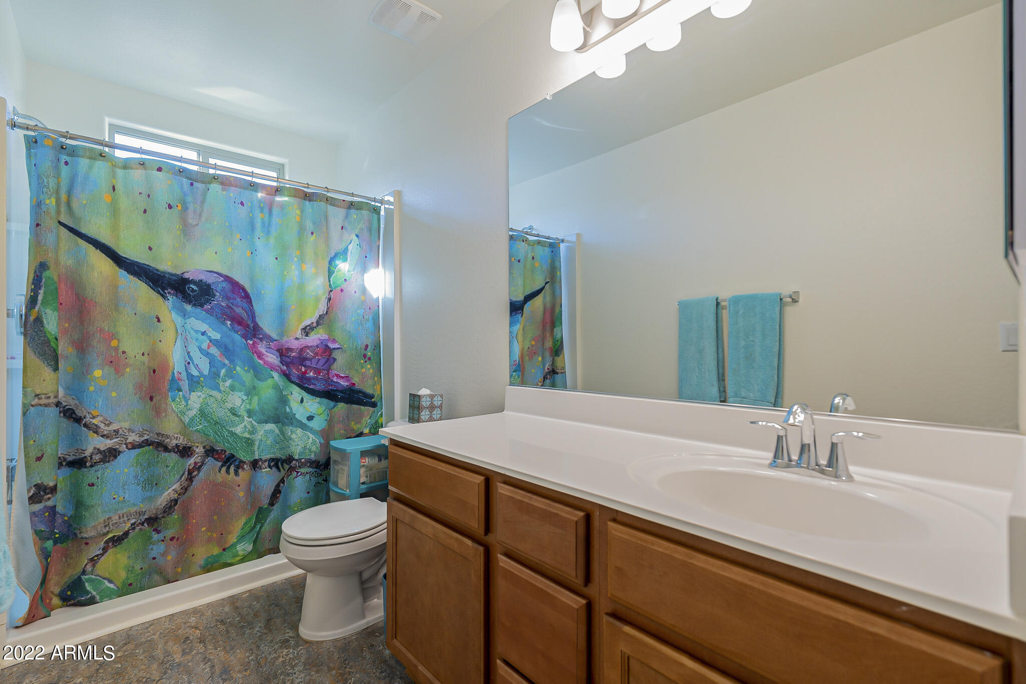 1804 South Hayley Road Apache Junction, AZ 85119 - Photo 20 of 49 bath