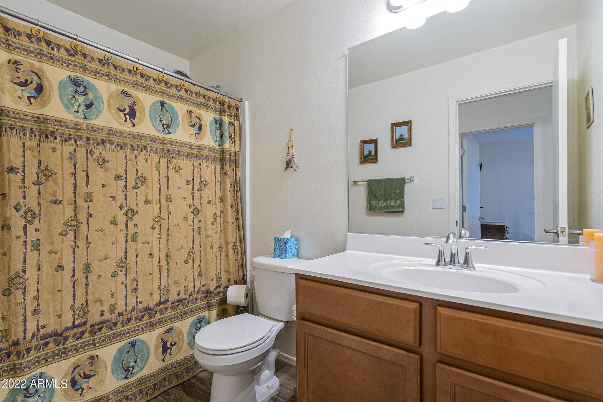 1804 South Hayley Road Apache Junction, AZ 85119 - Photo 25 of 49 bath